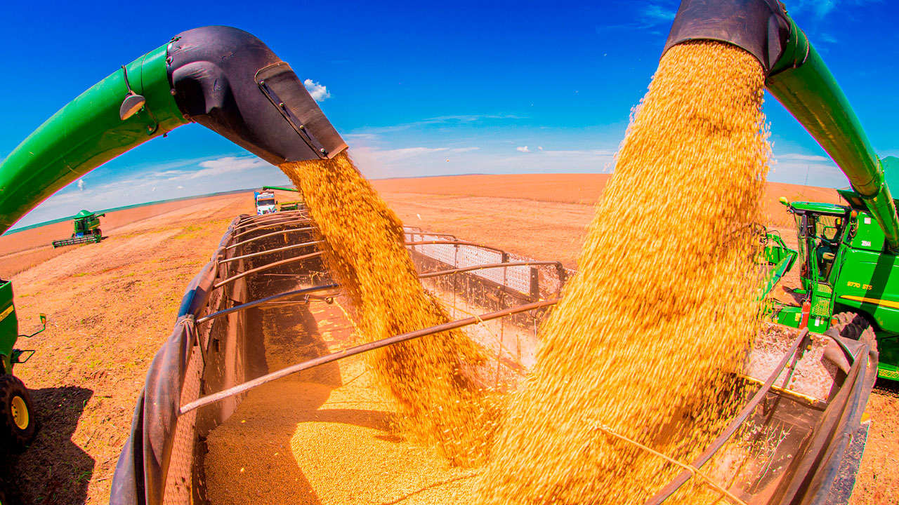 Produção Agrícola Em 2020 Bate Novo Recorde E Atinge R 4705 Bilhões Olho News Notícias Do 9908